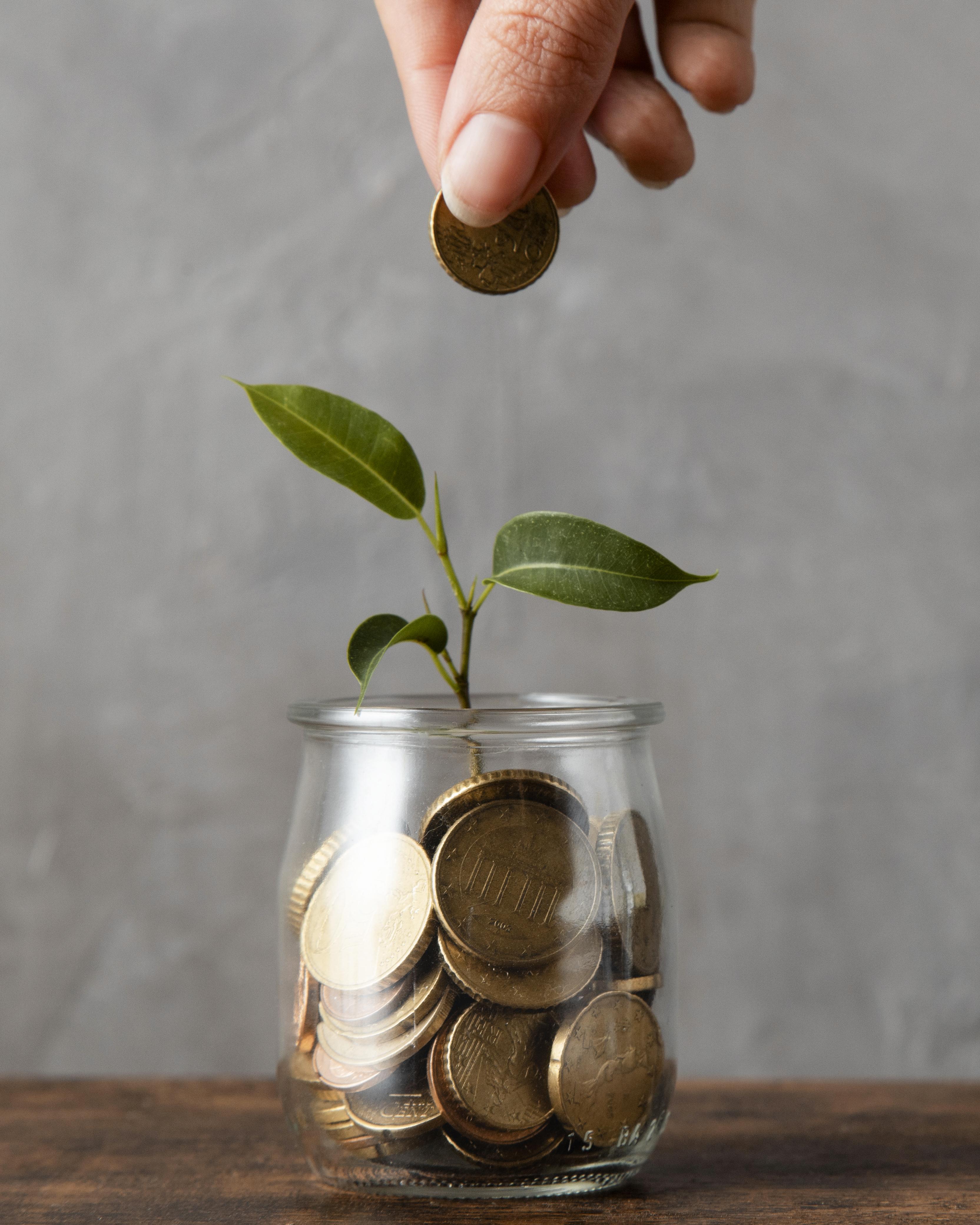Fixed Deposit