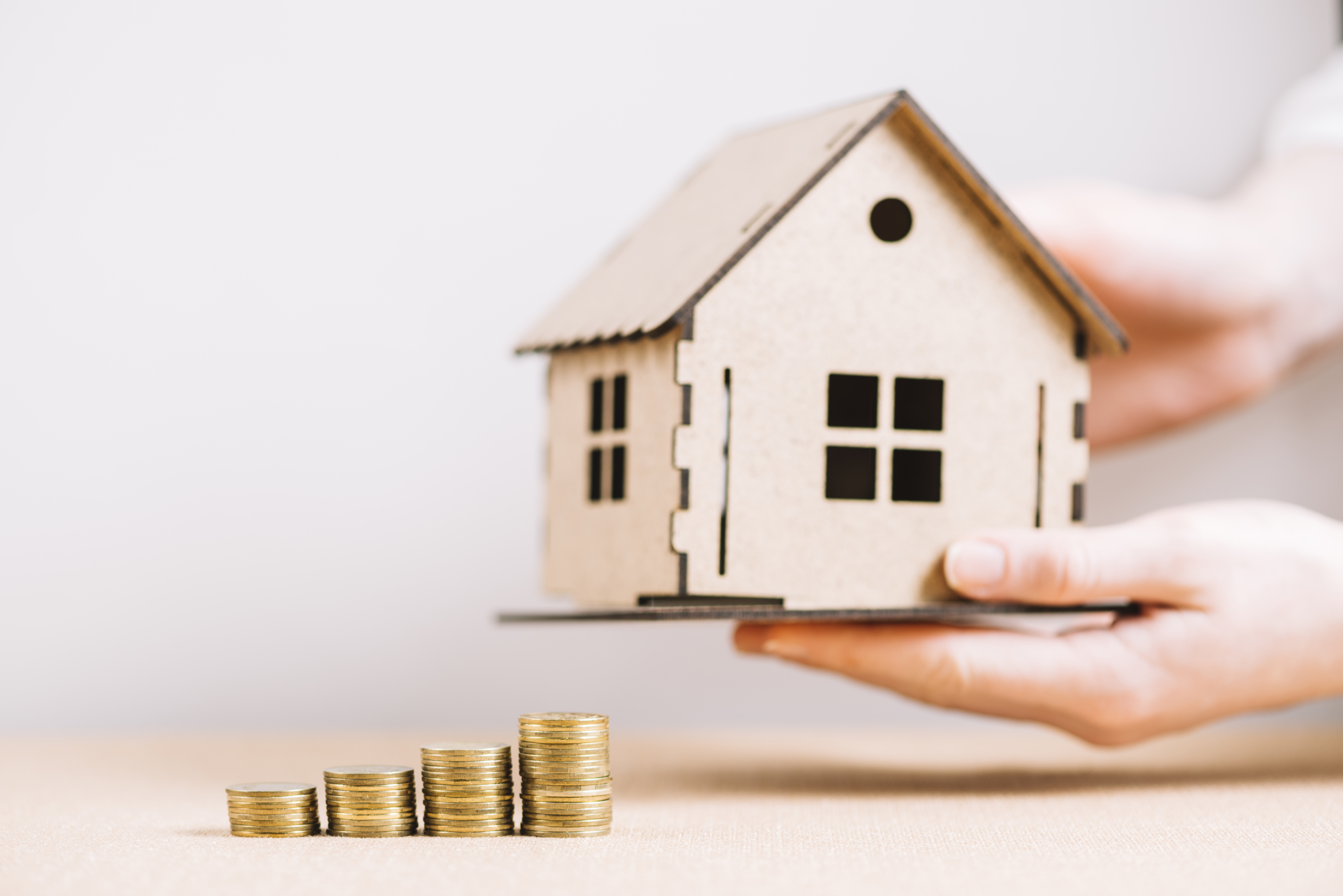 Property / Mortgage Loan